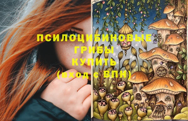 ALPHA PVP Бородино