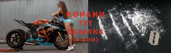 ALPHA PVP Бородино