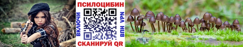 ссылка на мегу tor  Игра  Псилоцибиновые грибы MAGIC MUSHROOMS 